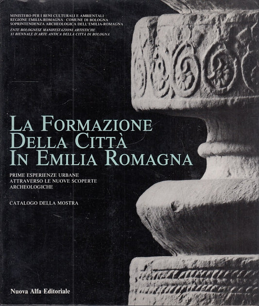 LS- LA FORMAZIONE DELLA CITTA' IN EMILIA ROMAGNA-- NUOVA ALFA--- 1987- B- YFS616