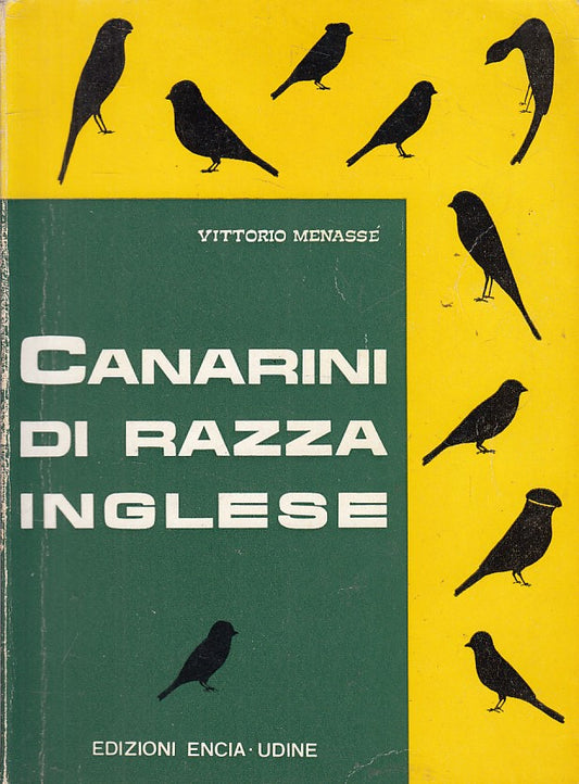 LZ- CANARINI DI RAZZA INGLESE - MENASSE' - UDINE --- 1964 - B - YFS593