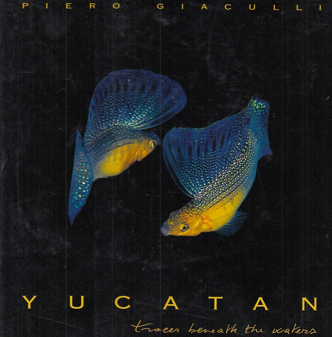 LT- YUCATAN TRACES BEVEATH THE WATERS FOTOGRFIE - GIACULLI ---- 2001- CS- YFS526