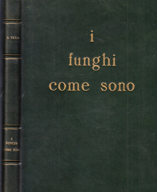 LZ- I FUNGHI COME SONO - SEVERINO VIOLA - ARTISTICHE MARZETTI--- 1967- C- YFS714