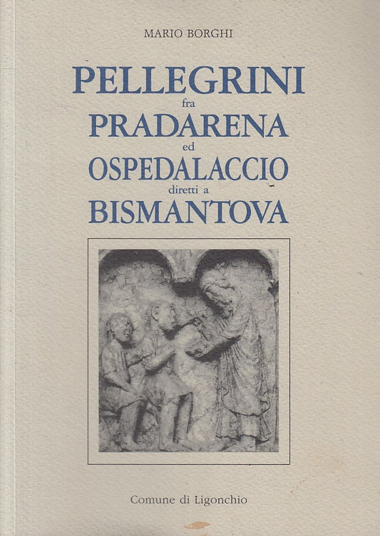 LS- PELLEGRINI FRA PRADARENA ED OSPEDALACCIO -- LIGONCHIO --- 2002 - B - YFS196