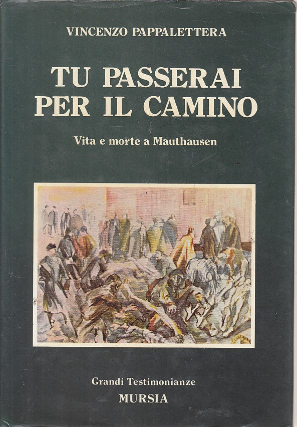 LS- TU PASSERAI PER IL CAMINO - PAPPALETTERA - MURSIA --- 1989 - CS - YFS270