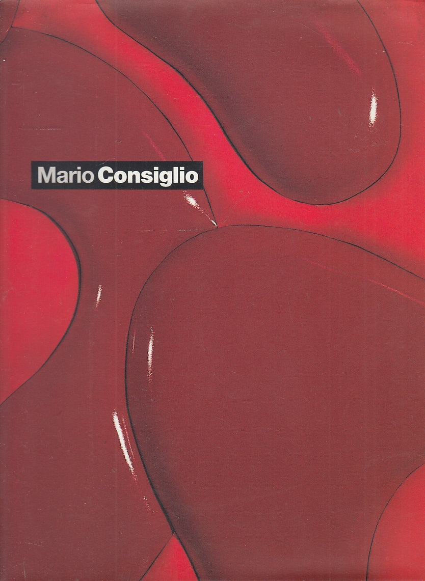 LT- MARIO CONSIGLIO CATALOGO MOSTRA -- GALLERIA ASTUNI --- 2002- B- YFS231