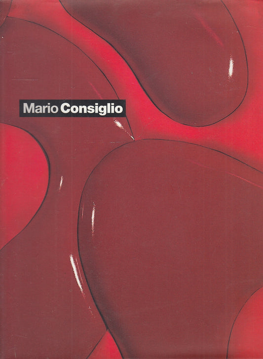 LT- MARIO CONSIGLIO CATALOGO MOSTRA -- GALLERIA ASTUNI --- 2002- B- YFS231