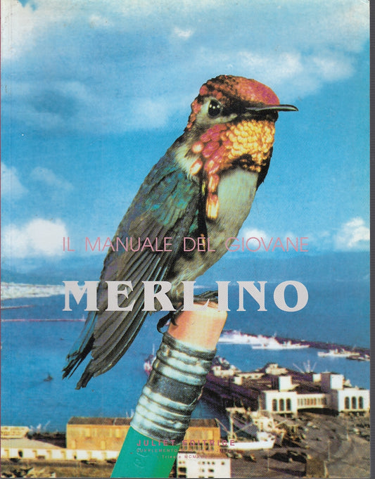 LZ- IL MANUALE DEL GIOVANE MERLINO -- JULIET EDITRICE --- 1996- B- YFS231