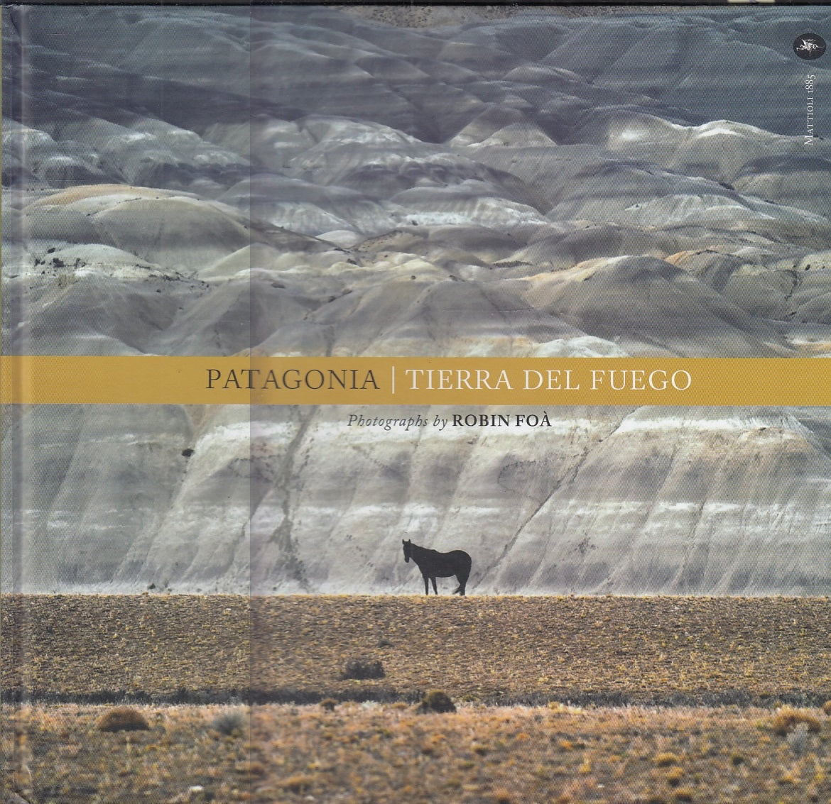 LV- PATAGONIA TIERRA DEL FUEGO - ROBIN FOA' - MATTIOLI 1885--- 2019- C- YFS282