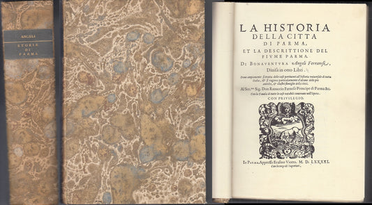 LS- HISTORIA DELLA CITTA' DI PARMA DESCRITTIONE FIUME - ANGELI- FORNI- 1969- WPR