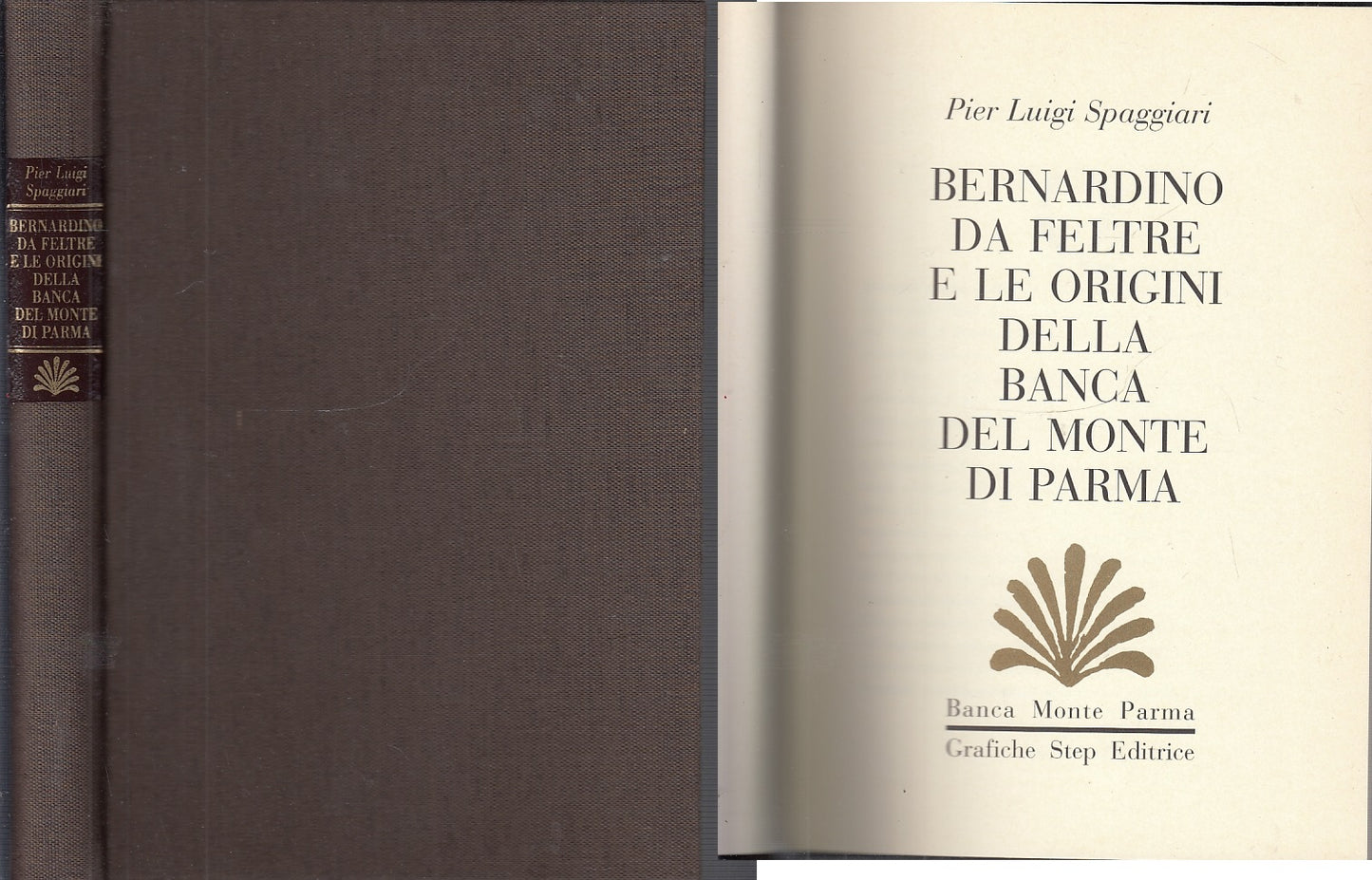 Bernardino da Feltre origini Banca del Monte di Parma- Pier Luigi Spaggiari- WPR