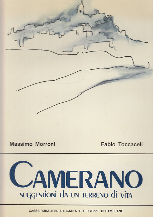 LT- CAMERANO SUGGESTIONI DA UN TERRENO DI VITA - MORRONI ---- 1981- CS- YFS656