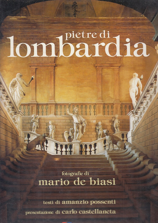 LT- PIETRE DI LOMBARDIA - DE BIASI - CREDITO COMMERCIALE --- 1993 - CS - ZFS487