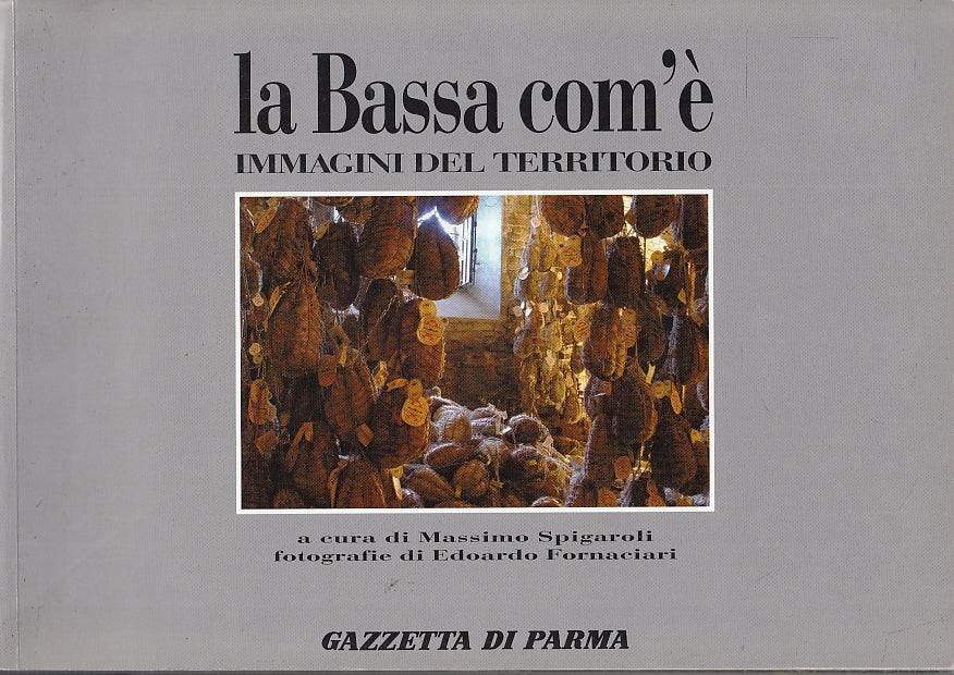 LZ- LA BASSA COM'E' - SPIGAROLI FORNACIARI -- GAZZETTA PARMA-- 1990- B- WPR319