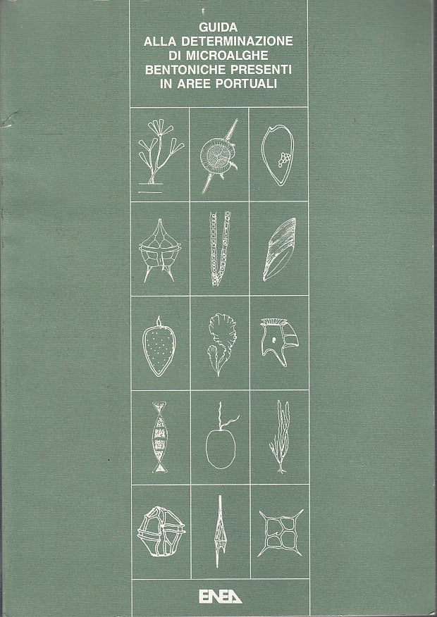 LZ- GUIDA ALLA DETERMINAZIONE DI MICROALGHE BENTONICHE-- ENEA--- 1992- B- YFS368