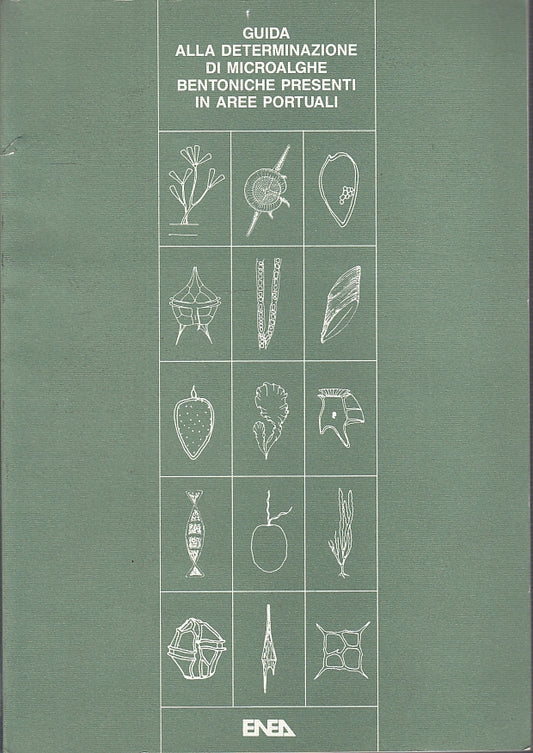 LZ- GUIDA ALLA DETERMINAZIONE DI MICROALGHE BENTONICHE-- ENEA--- 1992- B- YFS368