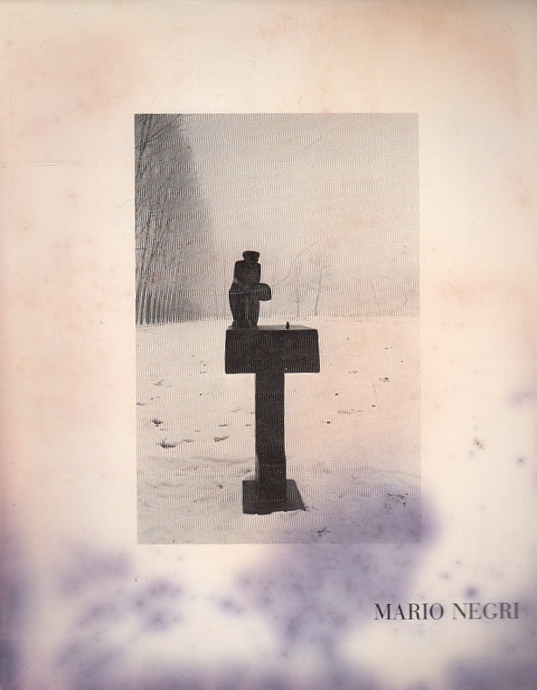 LT- MARIO NEGRI CATALOGO MOSTRA PARMA - TASSI- LA SANSEVERINA--- 1985- B- ZFS678