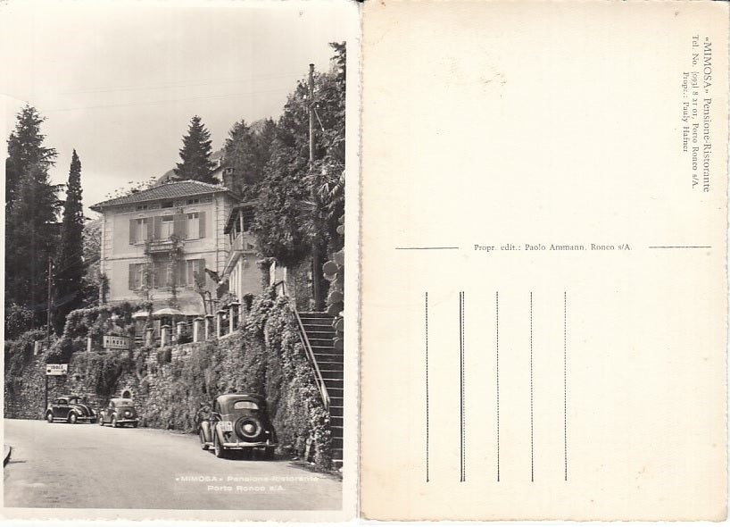 CC- CARTOLINA MIMOSA PENSIONE PORTO RONCO TICINO LAGO MAGGIORE - XFS65 RFX96