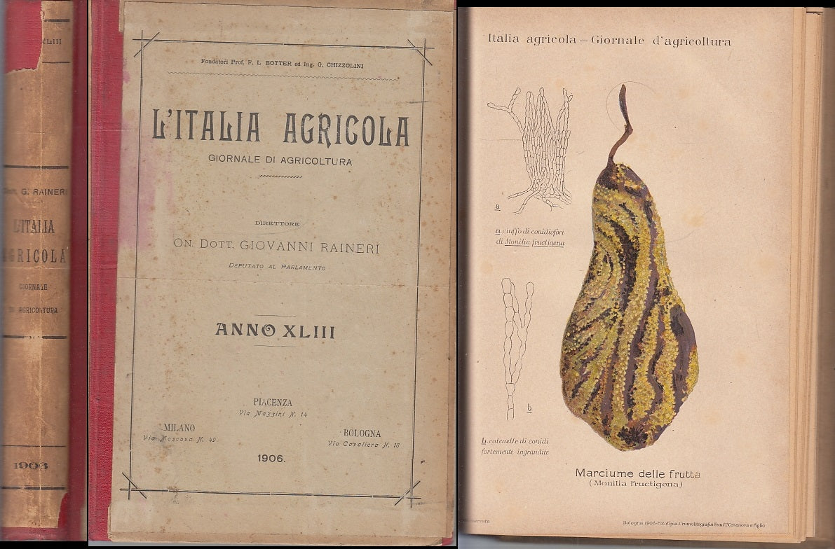 LH- L'ITALIA AGRICOLA ANNO XLIII COMPLETO VOLUME RILEGATO ----- 1906 - C- ZFS319