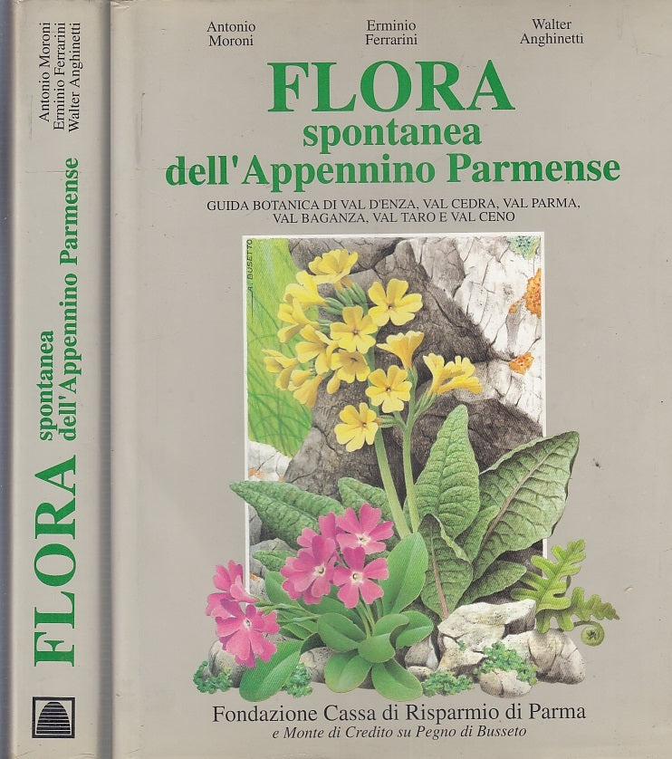LV- FLORA SPONTANEA DELL'APPENNINO PARMENSE- MORONI- CARI PARMA--- 1993-- WPR319
