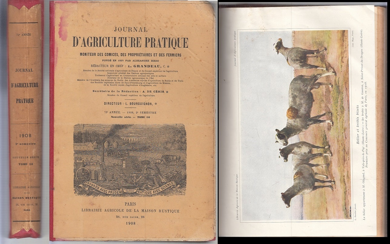 LH- JOURNAL D'AGRICOLTURE PRATIQUE ANNO 72 SECONDO SEMESTRE----- 1908- C- ZFS319