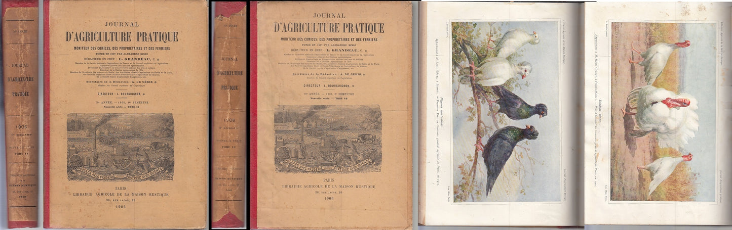 LH- JOURNAL D'AGRICOLTURE PRATIQUE ANNO 70 COMPLETO 2 TOMI ----- 1906- C- ZFS319