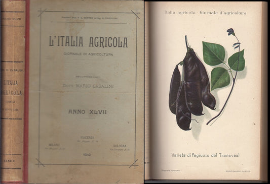 LH- L'ITALIA AGRICOLA ANNO XLVII COMPLETO VOLUME RILEGATO ----- 1910 - C- ZFS319