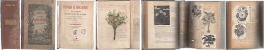 LH- DIZIONARIO DI FLORICOLTURA ILLUSTRATO - CORBELLI - GUIGONI--- 1882 -- XFS139