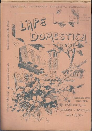 LH- L'APE DOMESTICA LOTTO 1893/1895 -- GUALASSINI BERTARELLI--- 1893- S- XFS66