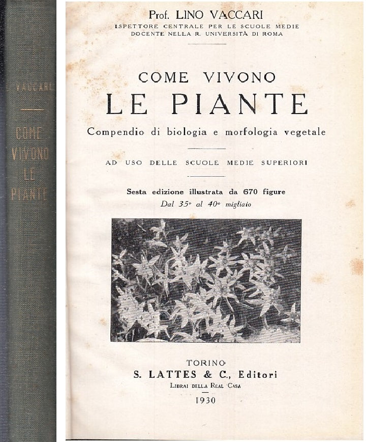 LZ- COME VIVONO LE PIANTE - LINO VACCARI - LATTES --- 1930 - C - ZFS191