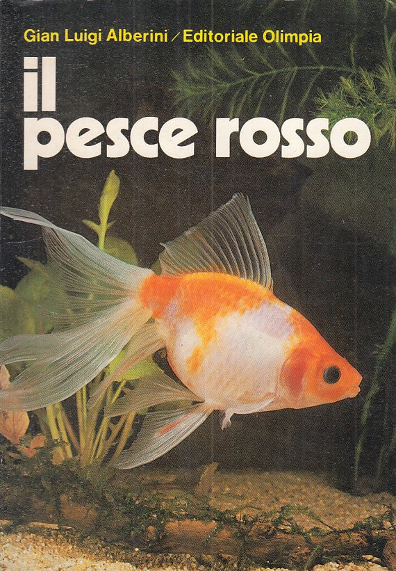 Il pesce rosso - Gian Luigi Alberini - Olimpia - 1a ed. - illustrato - ZFS262