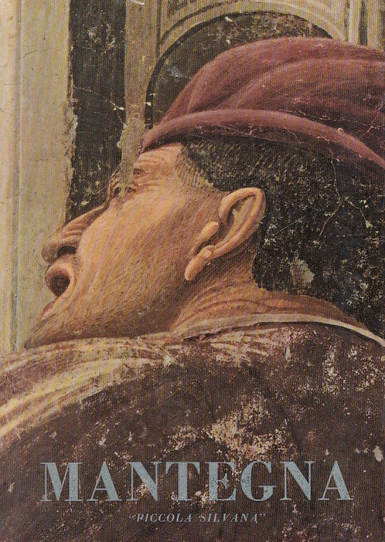 LT- MANTEGNA LA PICCOLA SILVANA VOL.4 - D'ANCONA - PIZZI --- 1980 - CS - ZFS24