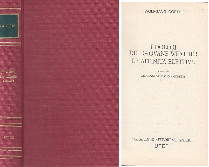 LN- DOLORI GIOVANE WERTHER AFFINITA' ELETTIVE- GOETHE- UTET--- 1981 - C - ZFS216