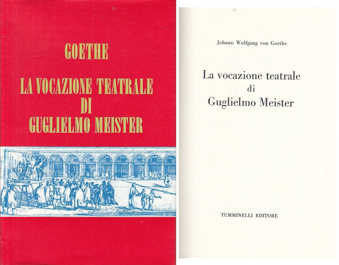 VOCAZIONE TEATRALE GUGLIELMO MEISTER- GOETHE- TUMMINELLI--- 1969- CS - ZFS54