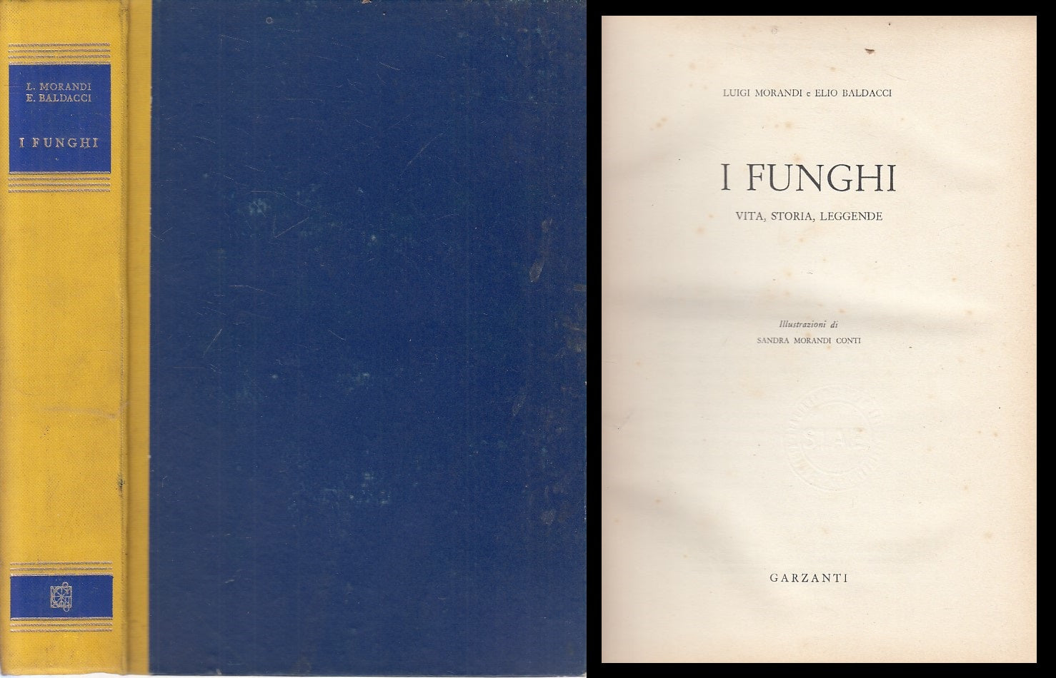 LN- I FUNGHI VITA STORIA LEGGENDE- MORANDI BALDACCI- GARZANTI--- 1954- C - ZFS52