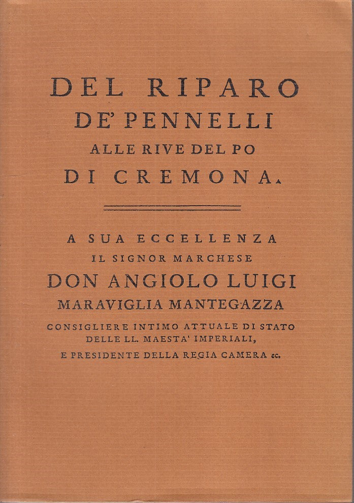 LZ- RIPARO DE' PENNELLI RIVE PO DI CREMONA- LECCHI- TURRIS--- 1980 - BS - YFS731