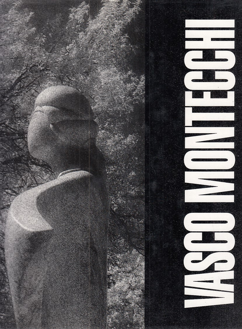 LT- VASCO MONTECCHI - MARZIO DALL'ACQUA - SILVA --- 1998 - CS - YDS344