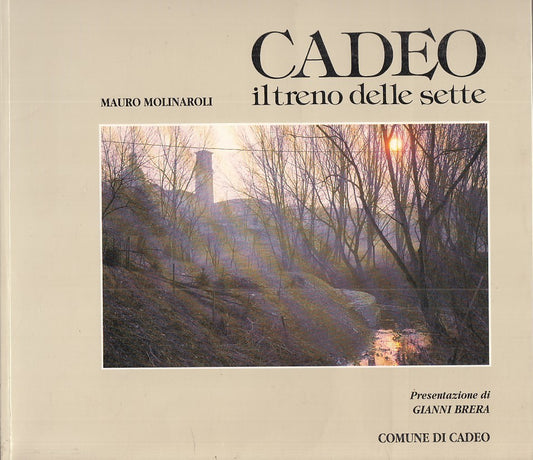 LZ- CADEO. IL TRENO DELLE SETTE- MOLINAROLI- COMUNE DI CADEO--- 1990- B - ZDS726
