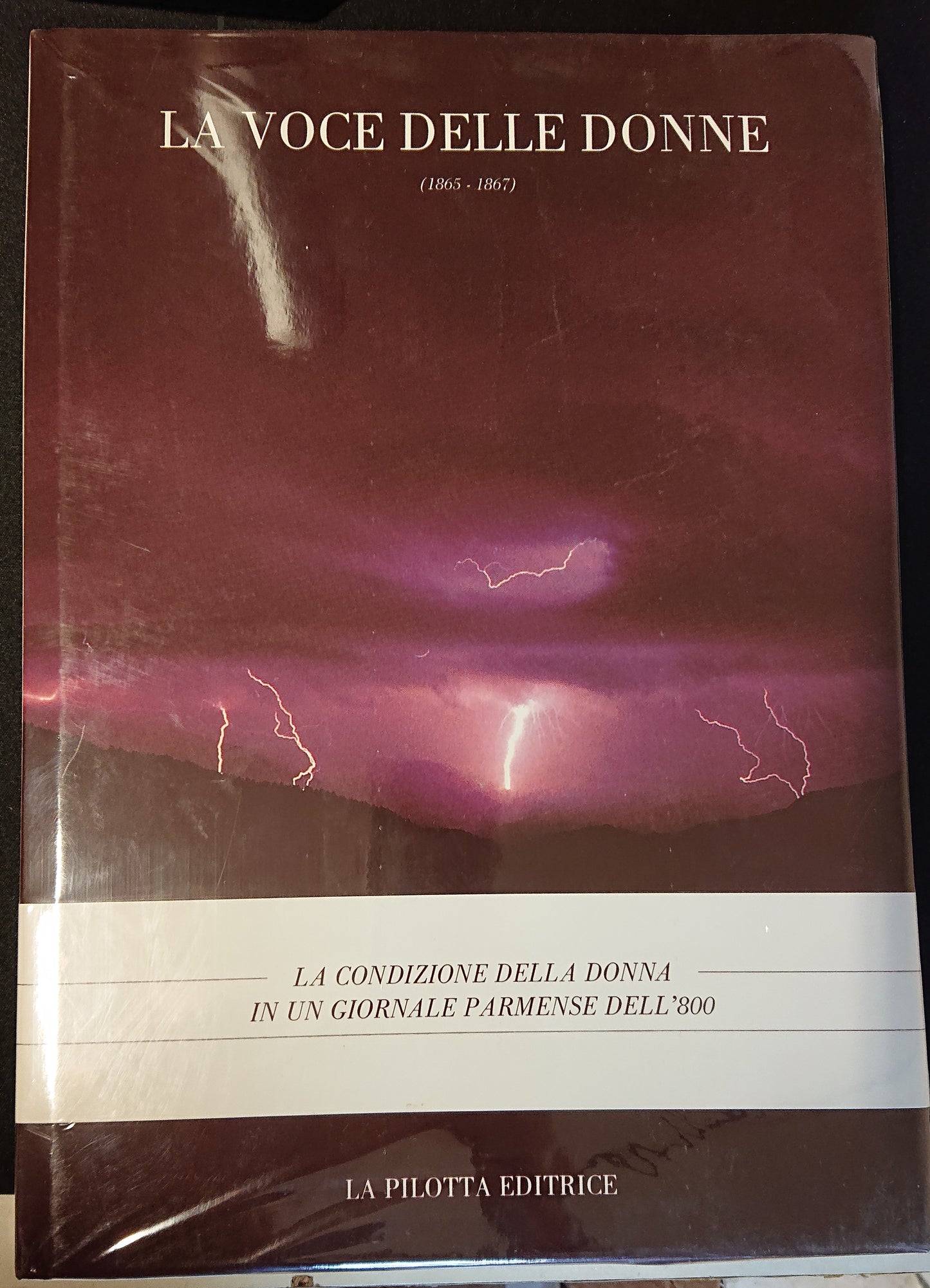 LZ - LA VOCE DELLE DONNE - REGGIANI - LA PILOTTA EDITRICE --- 1992 - CS - YFS655