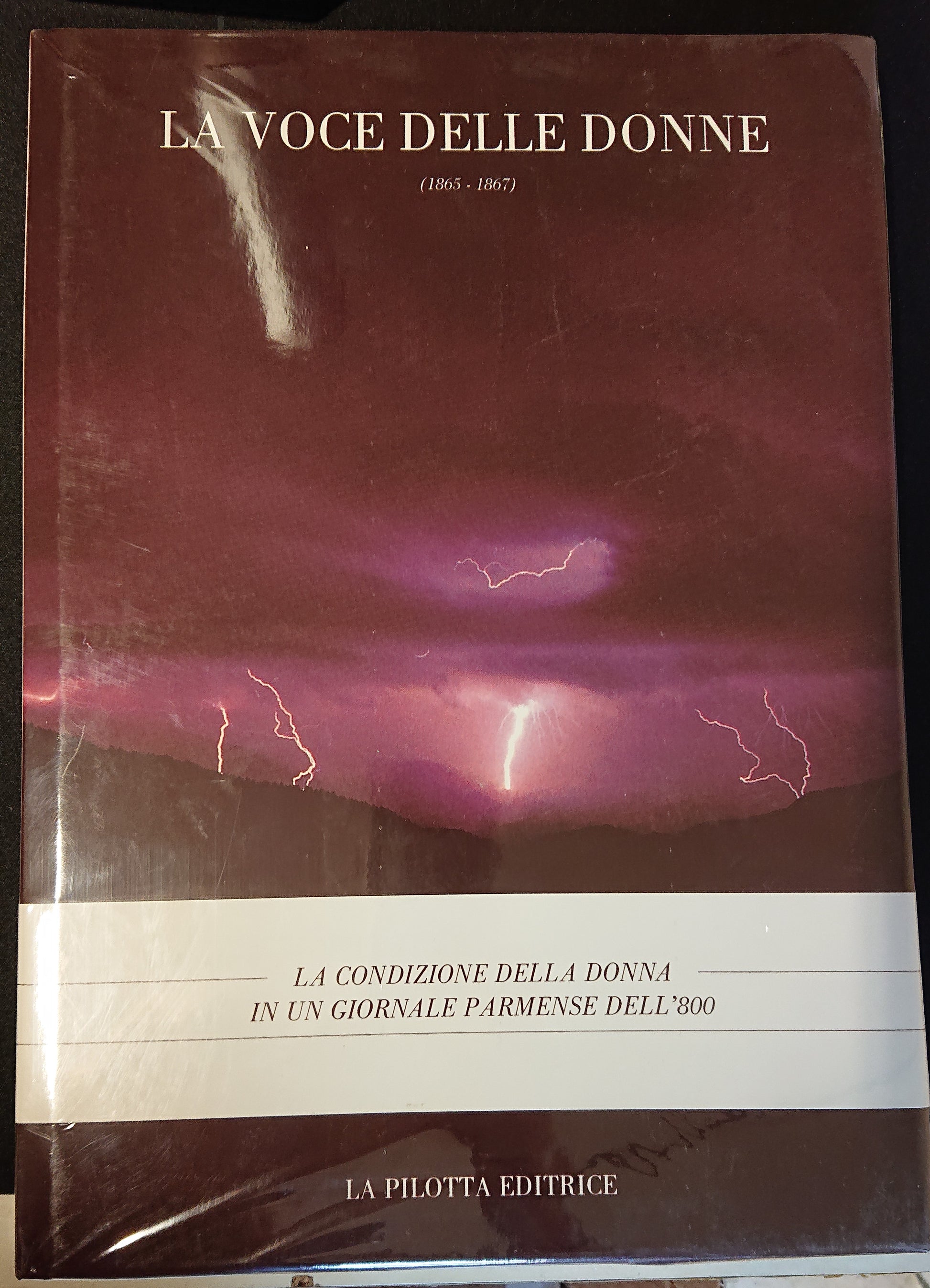 LZ - LA VOCE DELLE DONNE - REGGIANI - LA PILOTTA EDITRICE --- 1992 - CS - YFS655