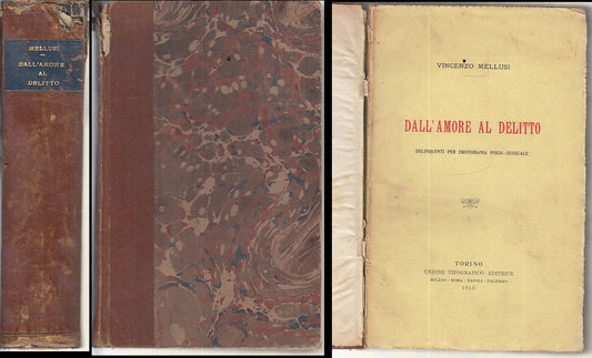 LZ- DALL'AMORE AL DELITTO DELINQUENTI - VINCENZO MELLUSI- UTET--- 1913- C- XFS50