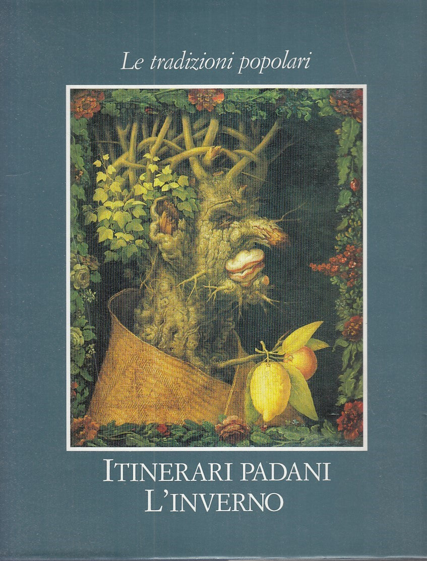 LV -ITINERARI PADANI. L'INVERNO -- ELECTA --- 1994 - CS - YDS217