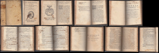 LH- P. TERENTIUS A FER ANTONIO MURETO CINQUECENTINA -- ALDUS --- 1575 - C- XFS93
