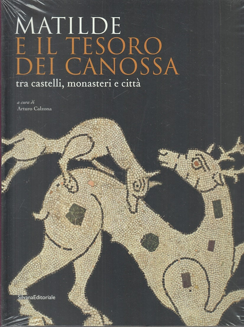 LT- MATILDE E IL TESORO DEI CANOSSA CATALOGO MOSTRA-- SILVANA--- 2008- B- YFS761