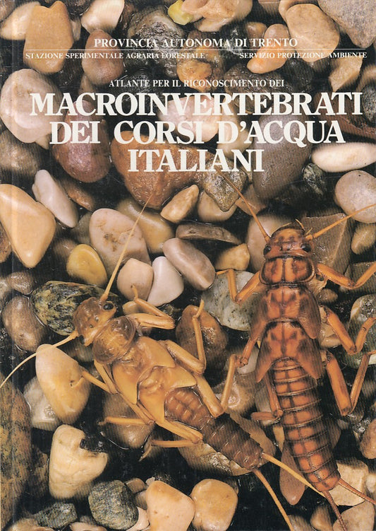 LZ- ATLANTE MACROINVERTEBRATI CORSI ACQUA ITALIANI-- TRENTO--- 1988 - C - YFS431