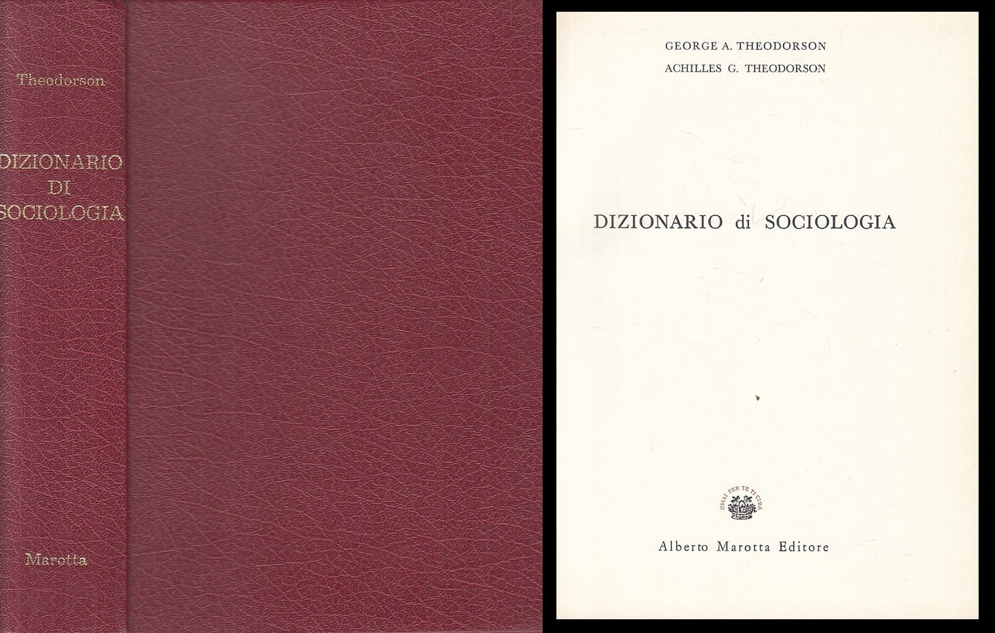 Dizionario di sociologia - Theodorson - Marotta - con cofanetto - ZFS120