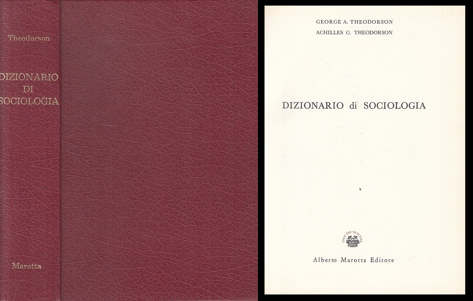Dizionario di sociologia - Theodorson - Marotta - con cofanetto - ZFS120