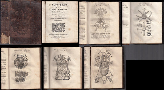 LH- L'ANATOMIA DEL CORPO UMANO SETTECENTINA - SARACENI- MANFRE'--- 1715- C-XFS97