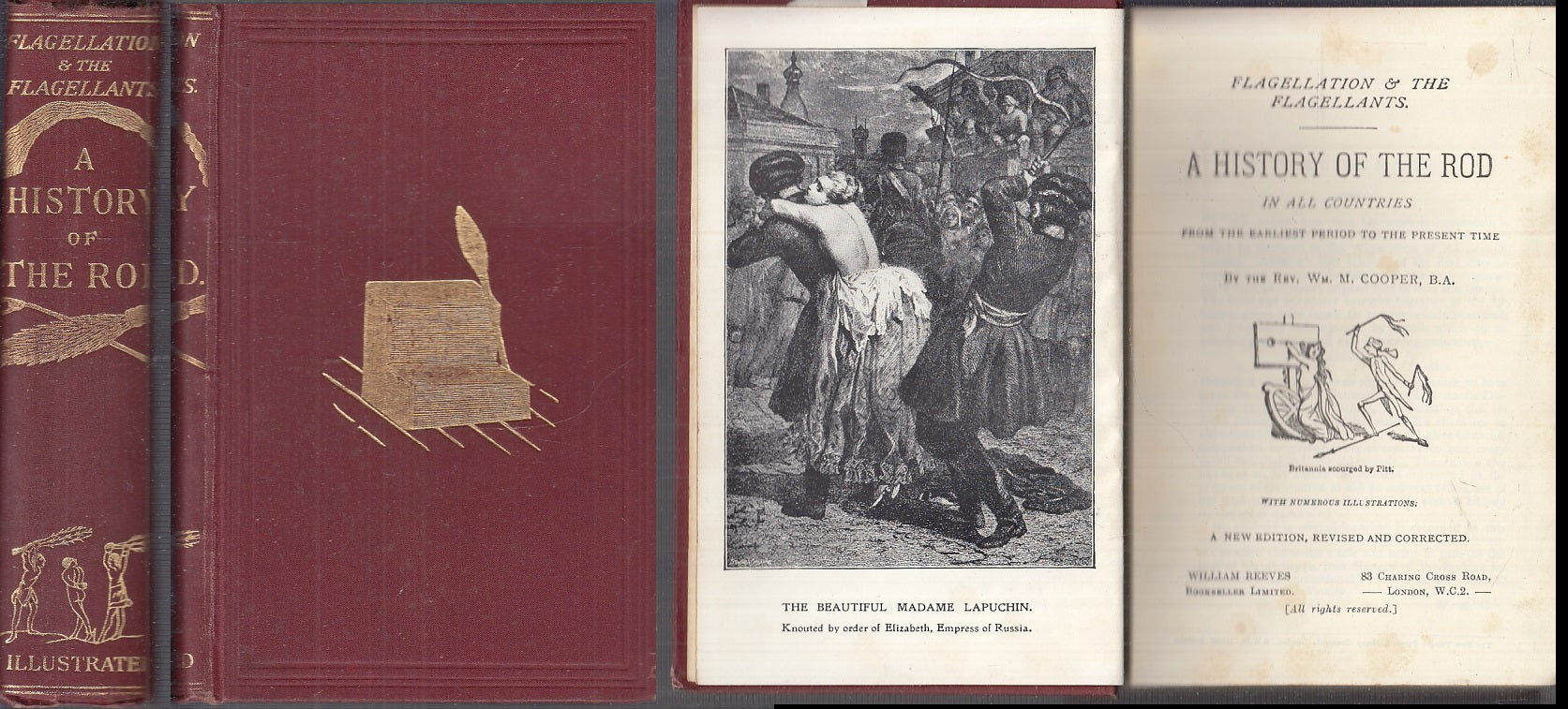 LH- FLAGELLATION & FLAGELLANTS A HISTORY OF THE ROD - COOPER ---- 1869- C- XFS58