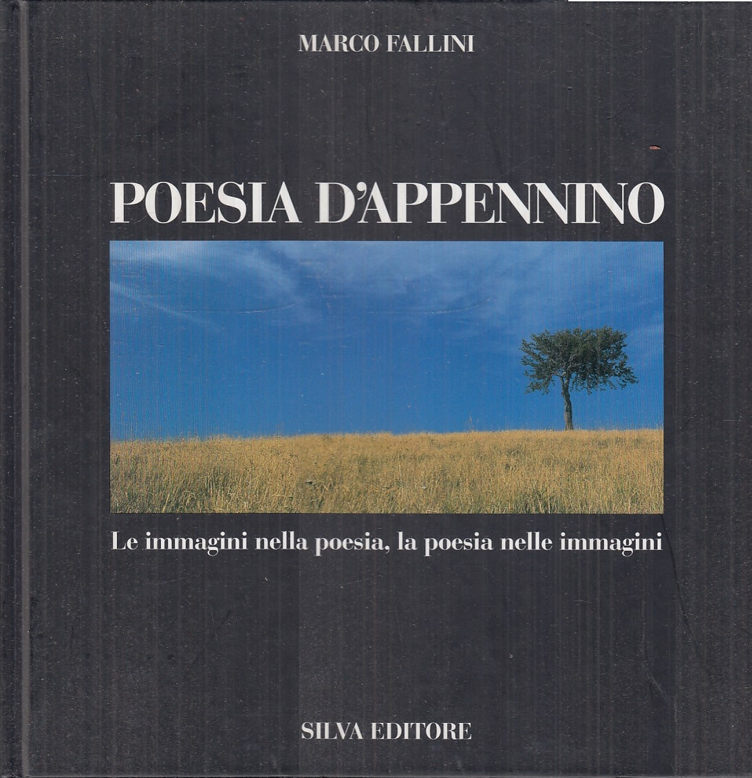 LT- POESIA D'APPENNINO IMMAGINI FOTOGRAFICHE - FALLINI - SILVA --- 2004 - C- WPR