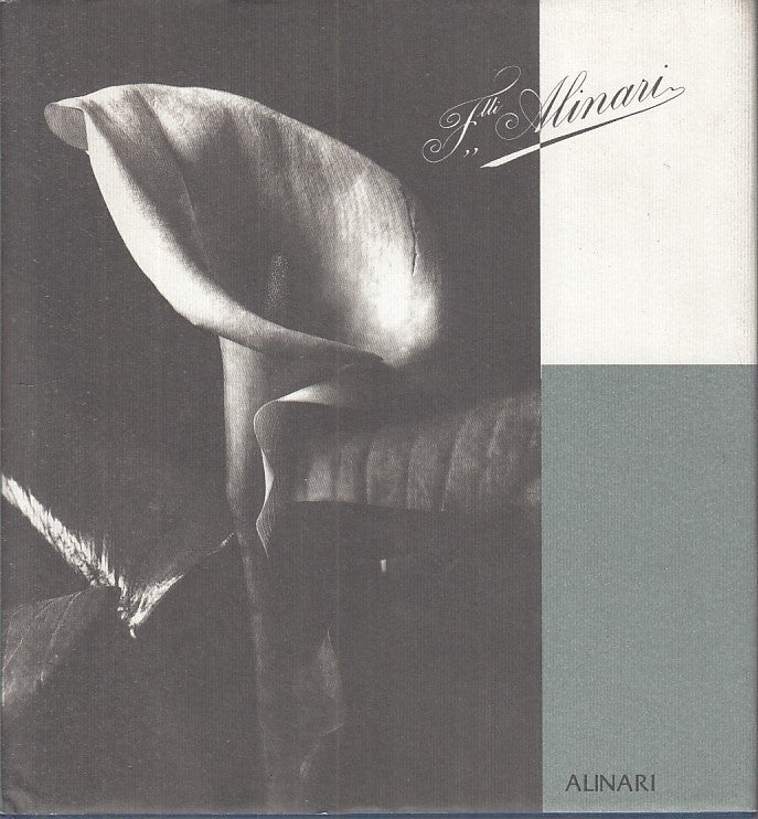 LZ - F.LLI ALINARI -- ALINARI --- 1993 - CS - YDS109