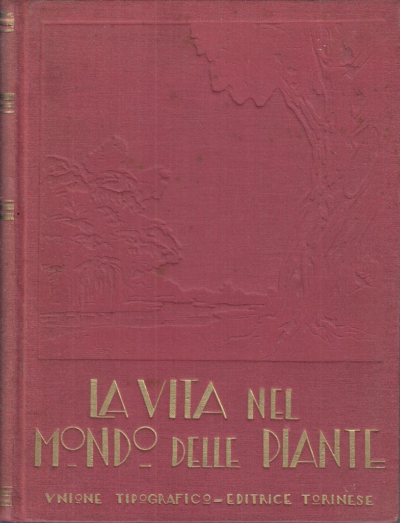 LZ - LA VITA NEL MONDO DELLE PIANTE - EGISTO ROGGERO - UTET --- 1931- C - YDS462