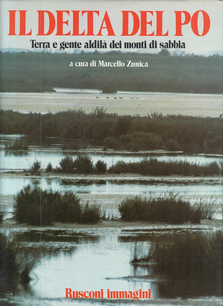 LZ- IL DELTA E IL PO TERRA E GENTE - ZUNICA - RUSCONI --- 19984 - CS - YFS795